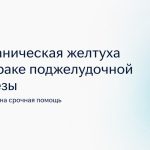 Механическая желтуха при раке поджелудочной железы